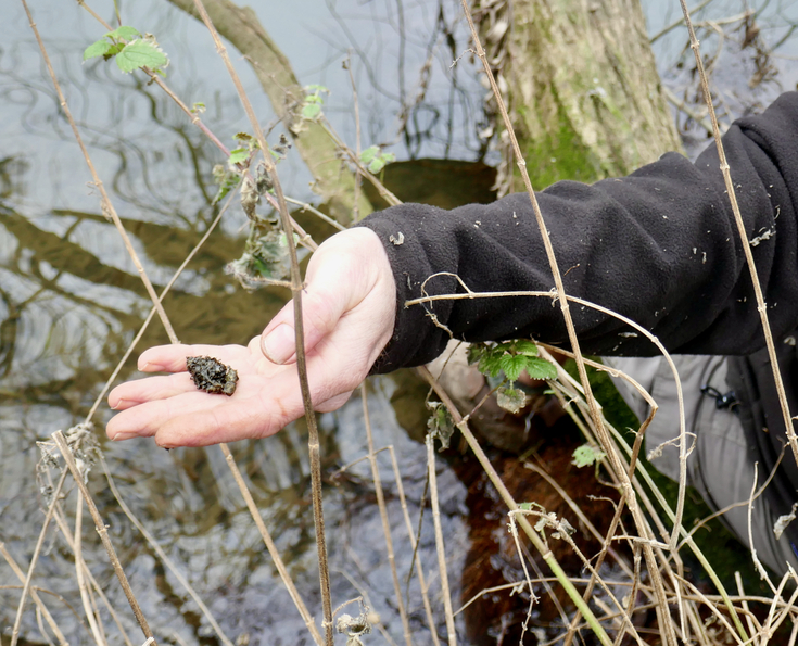 Cambridgeshire otter survey | Wildlife Trust for Beds Cambs & Northants